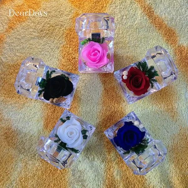 Premium Mini Real Preserved Rose
