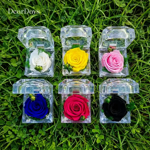 Mini Preserved Rose – Exclusive Premium Edition