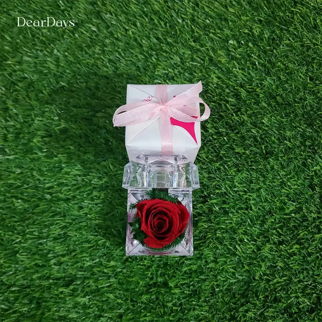 red rose