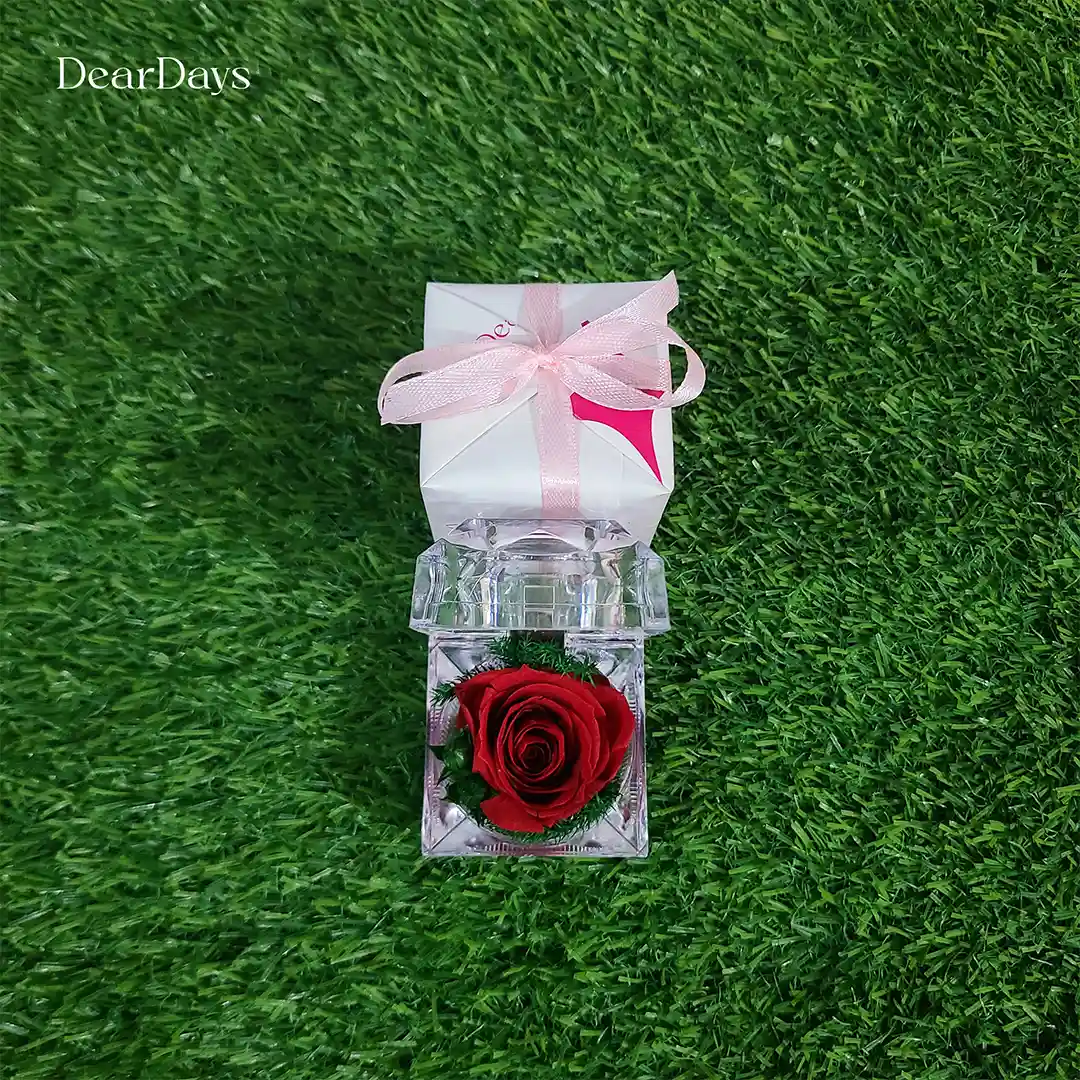 red rose